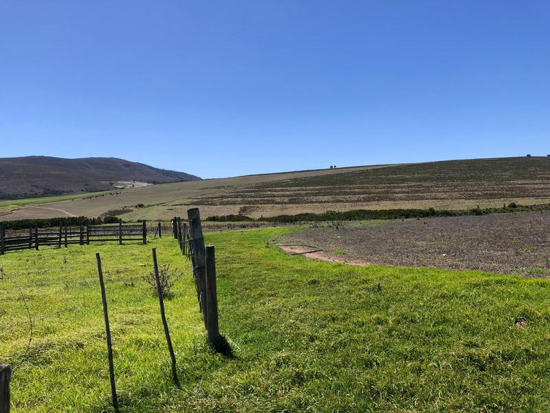 0 Bedroom Property for Sale in Baardskeerdersbos Western Cape